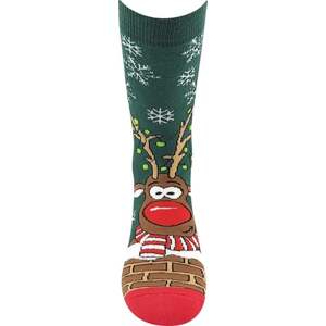 Vánoční ponožky Rudy I  tmavě zelená 27-34 (18-22,5)