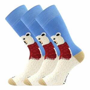 Ponožky LONKA FROOLOO medvěd 39-42 (26-28)