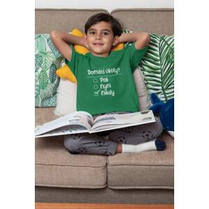 MMO Chlapecké tričko Domácí úkoly Barva: Trávová zelená, Velikost: 122