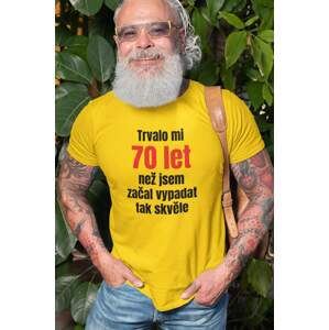 MMO Pánské tričko Trvalo mi 70 let Barva: Žlutá, Velikost: 2XL